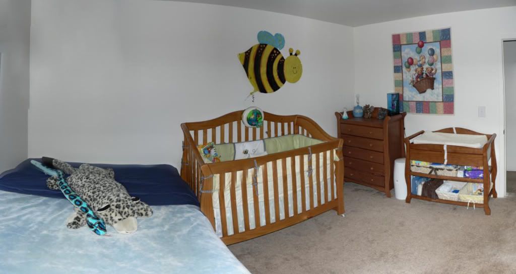 The Borawski Family Baby room is set up!